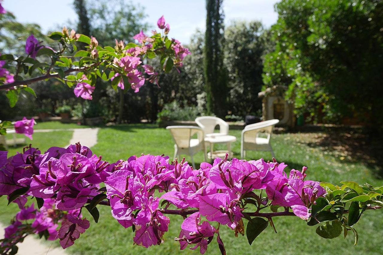 Agriturismo Le Vallette Bibbona Exterior photo
